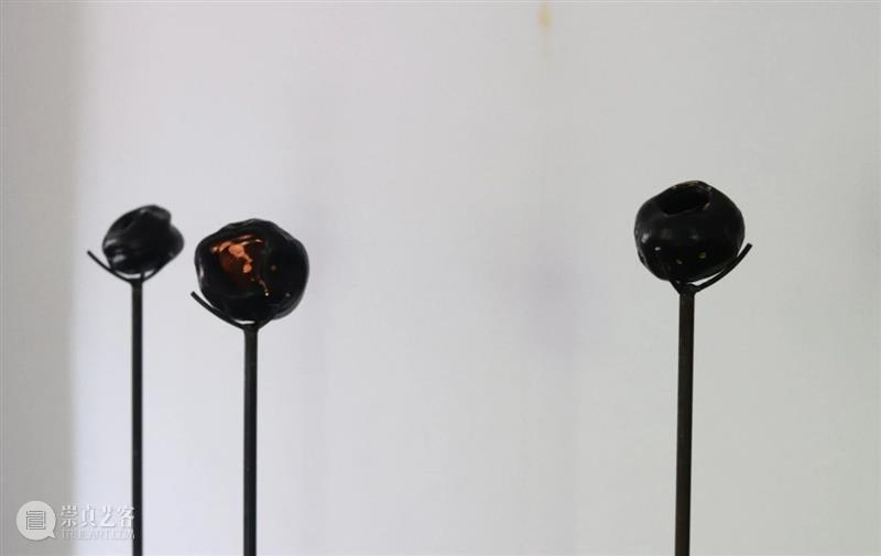 白灼有展 |「拓山」黄圣&杨萍萍双人展 视频资讯 白灼 崇真艺客