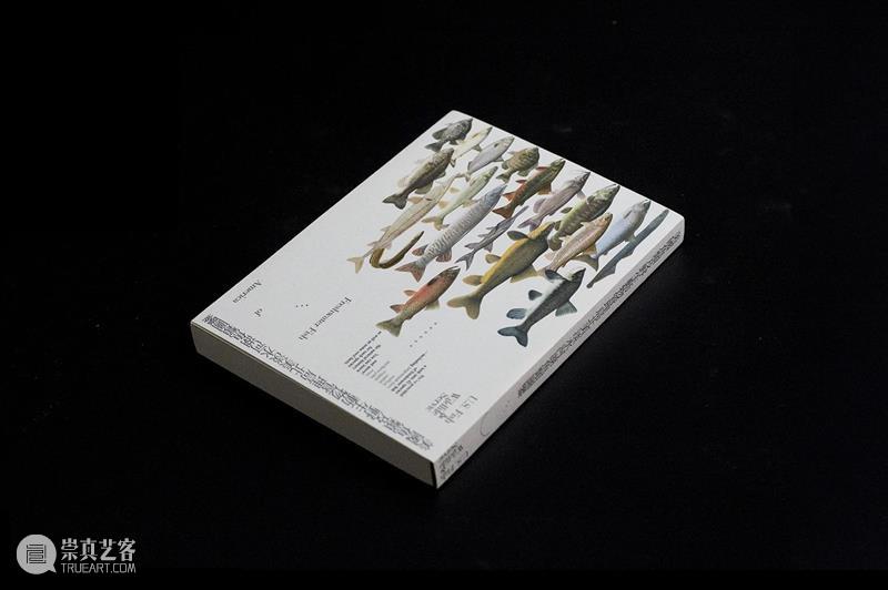 A4AB X A4文献中心 | 艺术家书设计师公布:Pangolin Design(穿山甲设计) 崇真艺客
