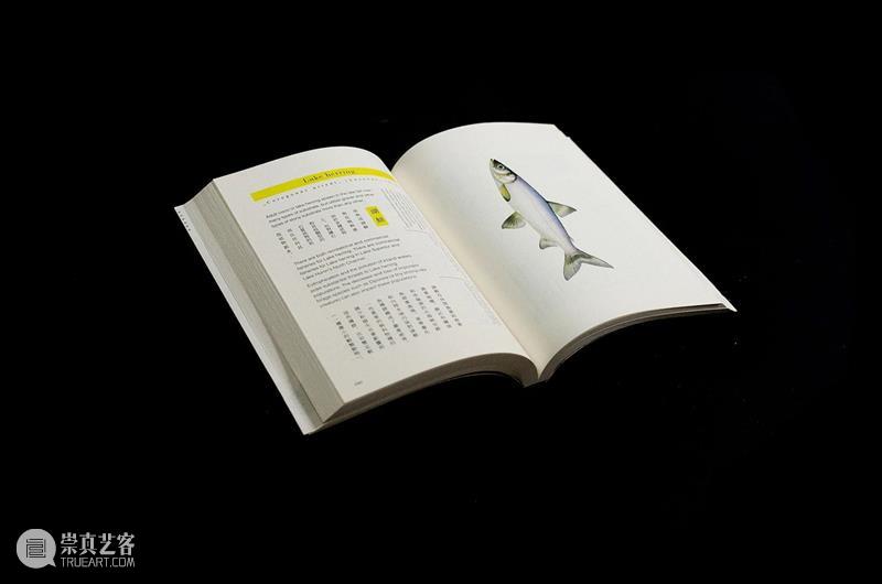 A4AB X A4文献中心 | 艺术家书设计师公布:Pangolin Design(穿山甲设计) 崇真艺客