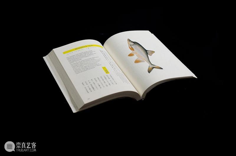 A4AB X A4文献中心 | 艺术家书设计师公布:Pangolin Design(穿山甲设计) 崇真艺客