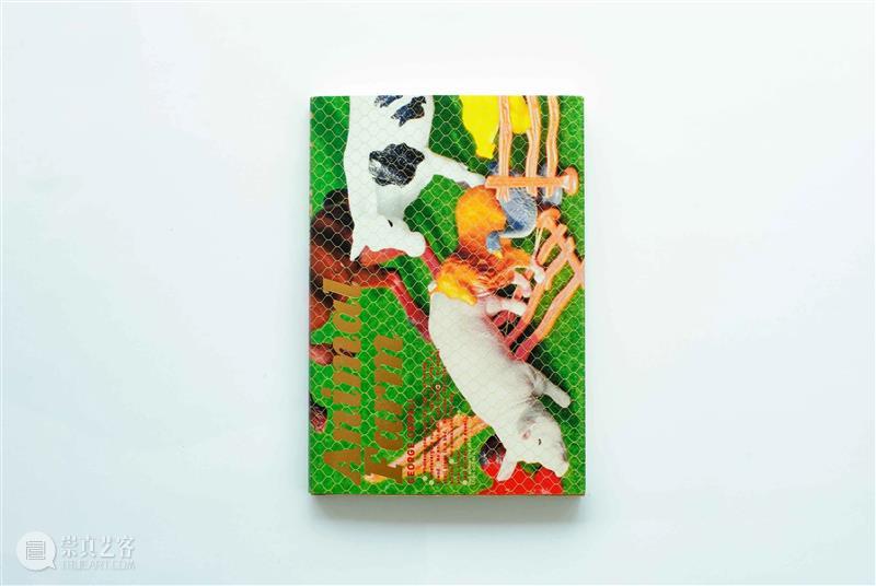 A4AB X A4文献中心 | 艺术家书设计师公布:Pangolin Design(穿山甲设计) 崇真艺客