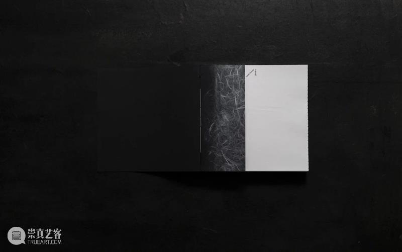 A4AB X A4文献中心 | 艺术家书设计师公布:Pangolin Design(穿山甲设计) 崇真艺客