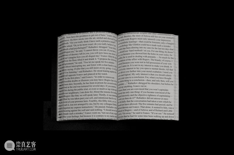 A4AB X A4文献中心 | 艺术家书设计师公布:Pangolin Design(穿山甲设计) 崇真艺客