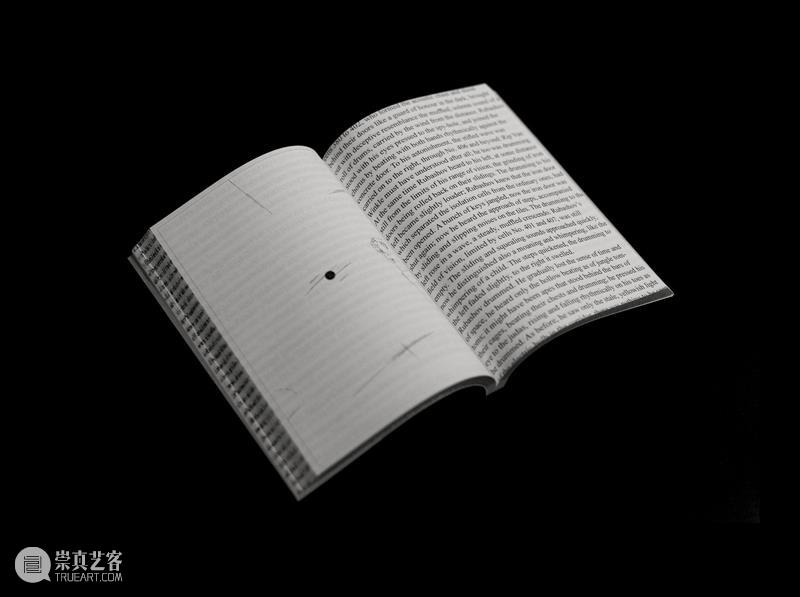 A4AB X A4文献中心 | 艺术家书设计师公布:Pangolin Design(穿山甲设计) 崇真艺客