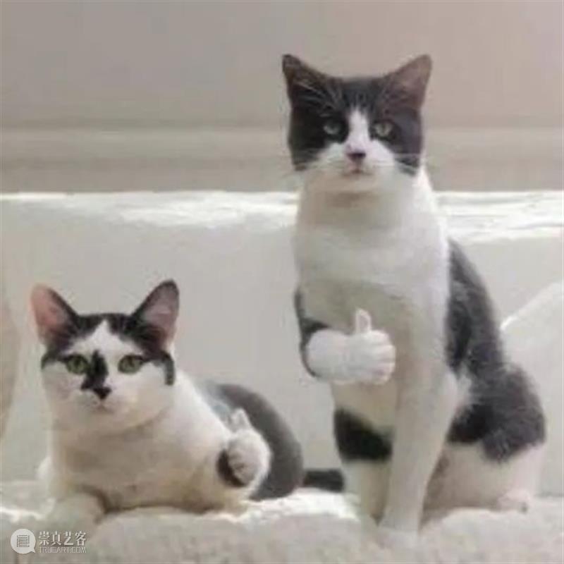 《静地回升》早鸟倒计时5天|中国现代舞天花板谢欣说:“这一次我做不到。” 崇真艺客