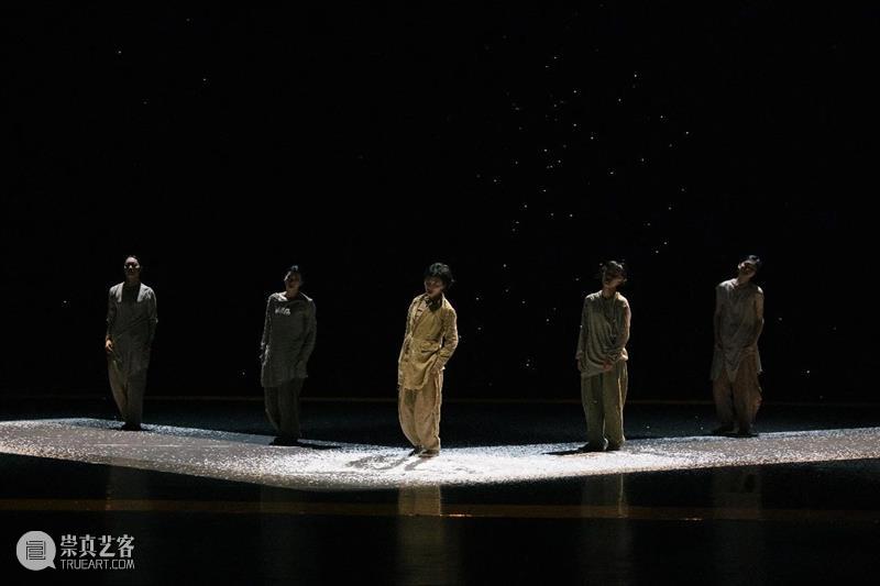 《静地回升》早鸟倒计时5天|中国现代舞天花板谢欣说:“这一次我做不到。” 崇真艺客