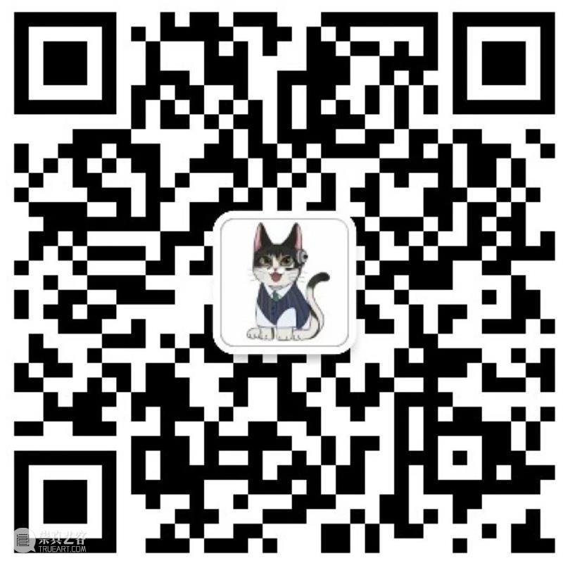 《静地回升》早鸟倒计时5天|中国现代舞天花板谢欣说:“这一次我做不到。” 崇真艺客