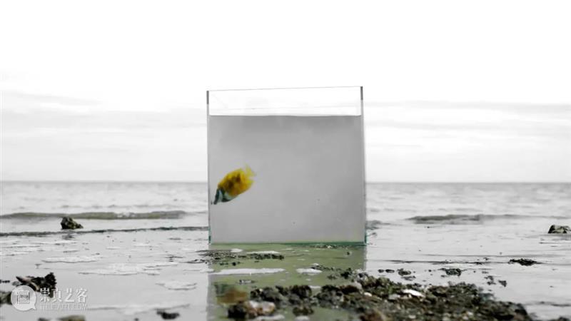 【媒体转载】时尚芭莎艺术 | 曹雨：天生反骨为艺术 崇真艺客