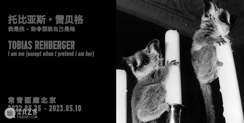 常青迪拜 | 正在呈现丹尼尔·布伦个展“视界，无垠，原位和被定位作品展”，昭显艺术家将空间与环境因素纳入作品考量的精妙构思 崇真艺客