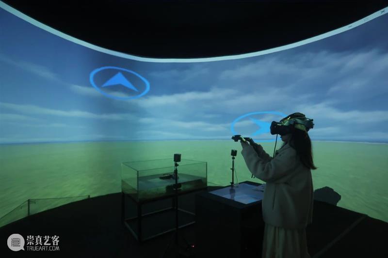 艺术家专题（六）| 2022武汉双年展“城市形态”专题——情·理（上） 崇真艺客