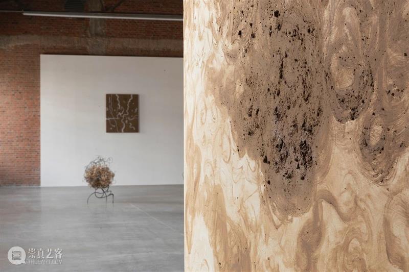 正在展出|北京公社正在展出杨心广个展“春风” 崇真艺客