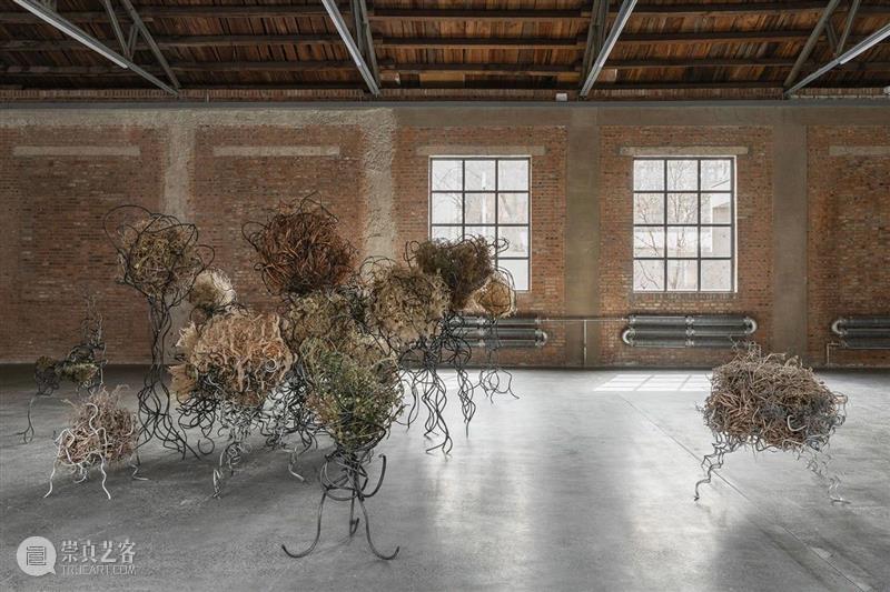 正在展出|北京公社正在展出杨心广个展“春风” 崇真艺客