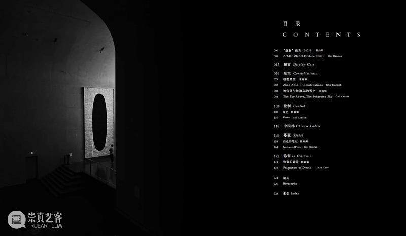 赵赵龙美术馆个人画册发布｜《赵赵2022 - 2017》 崇真艺客