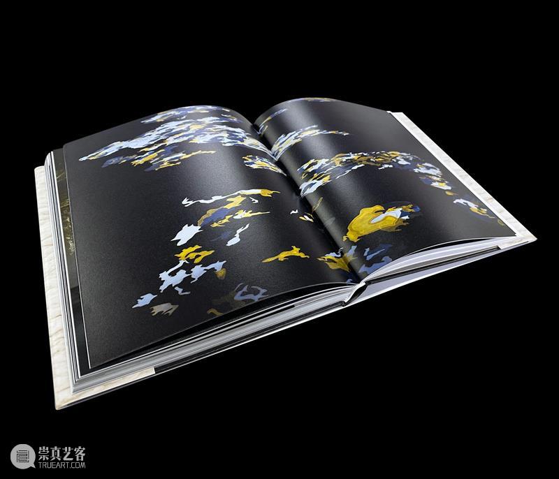 赵赵龙美术馆个人画册发布｜《赵赵2022 - 2017》 崇真艺客