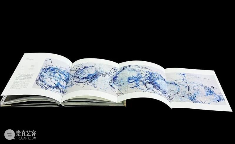 赵赵龙美术馆个人画册发布｜《赵赵2022 - 2017》 崇真艺客