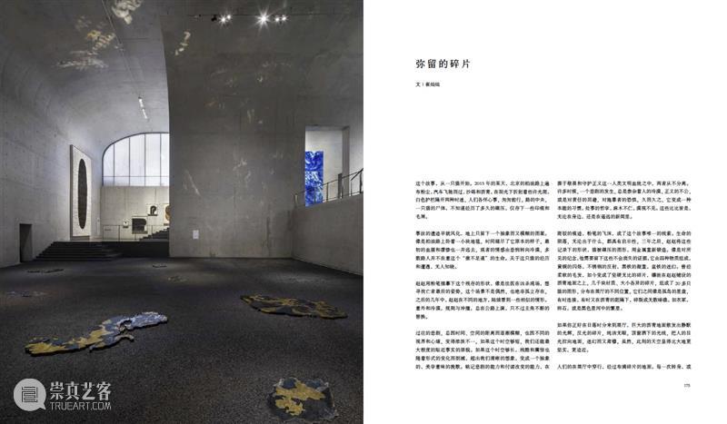 赵赵龙美术馆个人画册发布｜《赵赵2022 - 2017》 崇真艺客