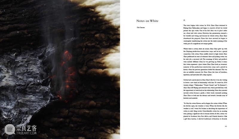 赵赵龙美术馆个人画册发布｜《赵赵2022 - 2017》 崇真艺客