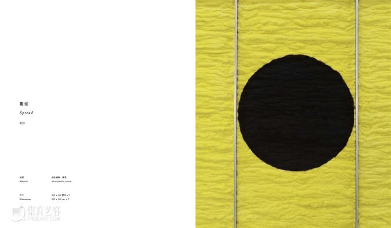 赵赵龙美术馆个人画册发布｜《赵赵2022 - 2017》 崇真艺客