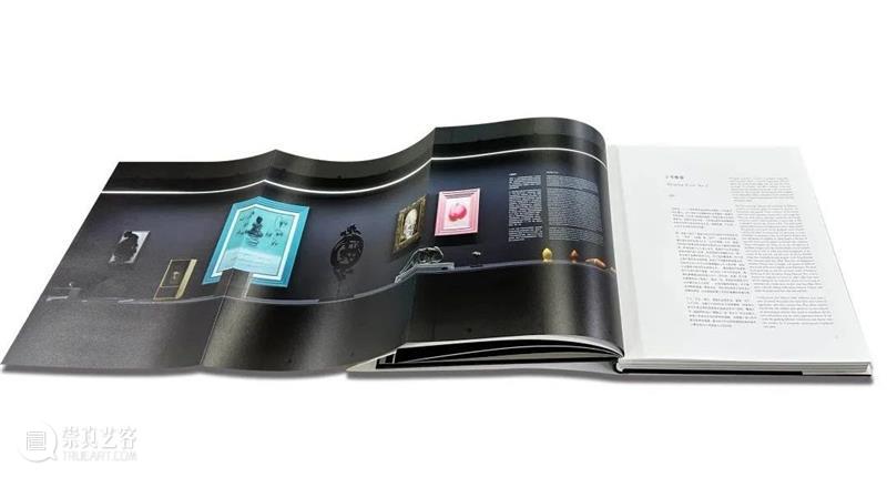 赵赵龙美术馆个人画册发布｜《赵赵2022 - 2017》 崇真艺客