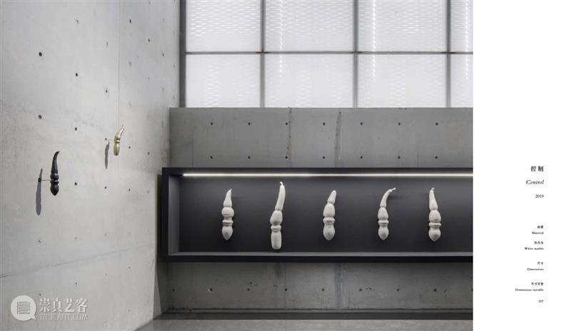 赵赵龙美术馆个人画册发布｜《赵赵2022 - 2017》 崇真艺客