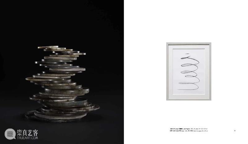 赵赵龙美术馆个人画册发布｜《赵赵2022 - 2017》 崇真艺客