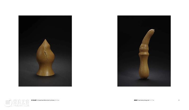 赵赵龙美术馆个人画册发布｜《赵赵2022 - 2017》 崇真艺客