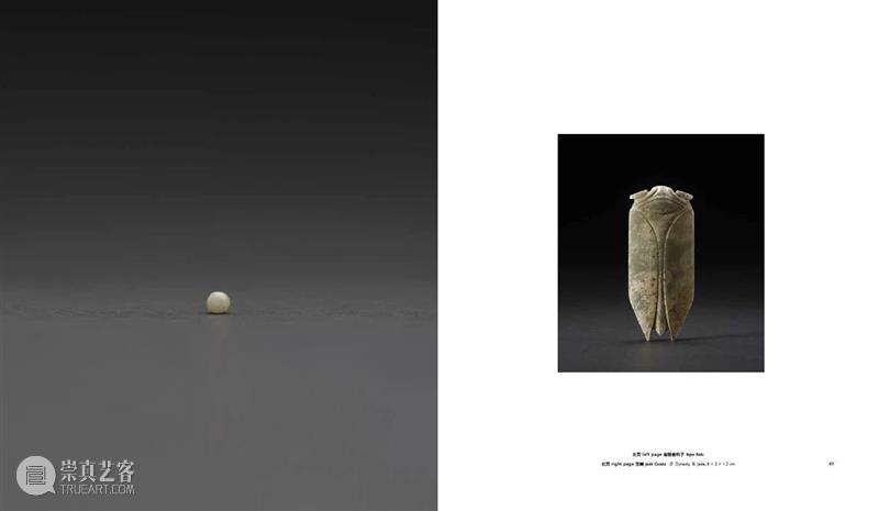 赵赵龙美术馆个人画册发布｜《赵赵2022 - 2017》 崇真艺客