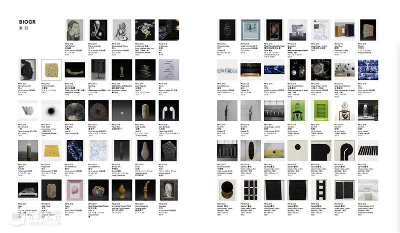 赵赵龙美术馆个人画册发布｜《赵赵2022 - 2017》 崇真艺客