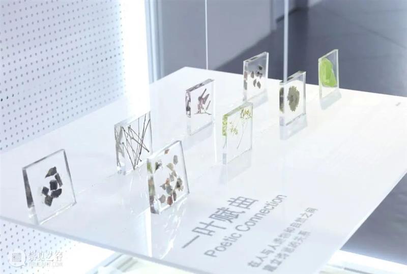 同济-广汽“流动的舞台Ⅱ：穿透”作品展开幕！@TX淮海|年轻力中心 崇真艺客