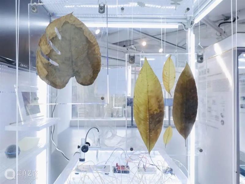 同济-广汽“流动的舞台Ⅱ：穿透”作品展开幕！@TX淮海|年轻力中心 崇真艺客