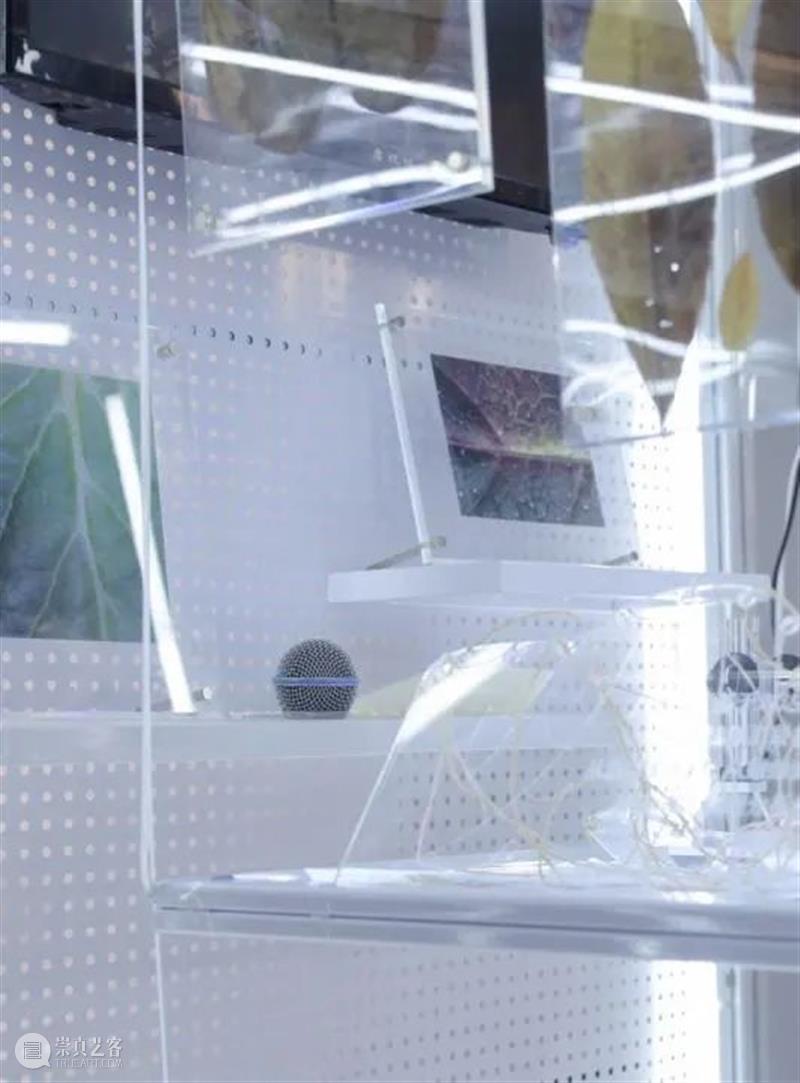 同济-广汽“流动的舞台Ⅱ：穿透”作品展开幕！@TX淮海|年轻力中心 崇真艺客