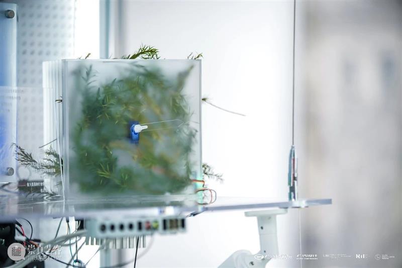 同济-广汽“流动的舞台Ⅱ：穿透”作品展开幕！@TX淮海|年轻力中心 崇真艺客