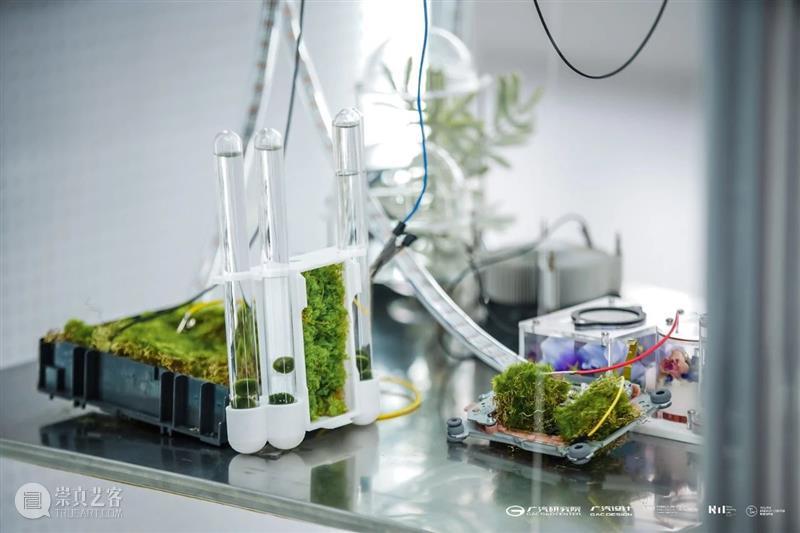 同济-广汽“流动的舞台Ⅱ：穿透”作品展开幕！@TX淮海|年轻力中心 崇真艺客