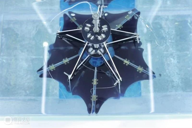 同济-广汽“流动的舞台Ⅱ：穿透”作品展开幕！@TX淮海|年轻力中心 崇真艺客