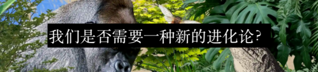 看似最简单的复杂问题：究竟什么才是生命？ 崇真艺客