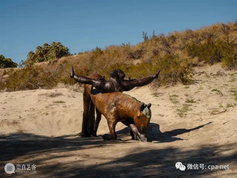 沙漠艺术节，峡谷里藏着巨型作品 崇真艺客