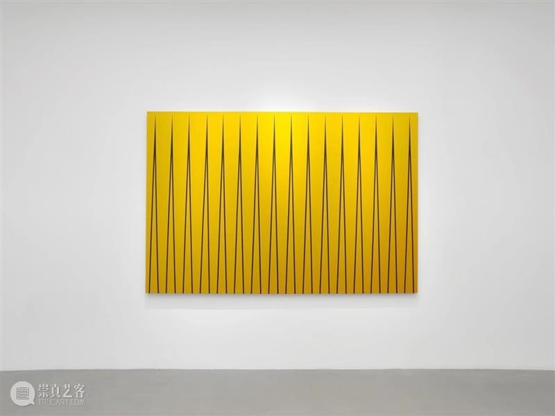 评论｜韩国著名评论家尹晋燮评雎安奇个展「草体 Grass Style」 崇真艺客