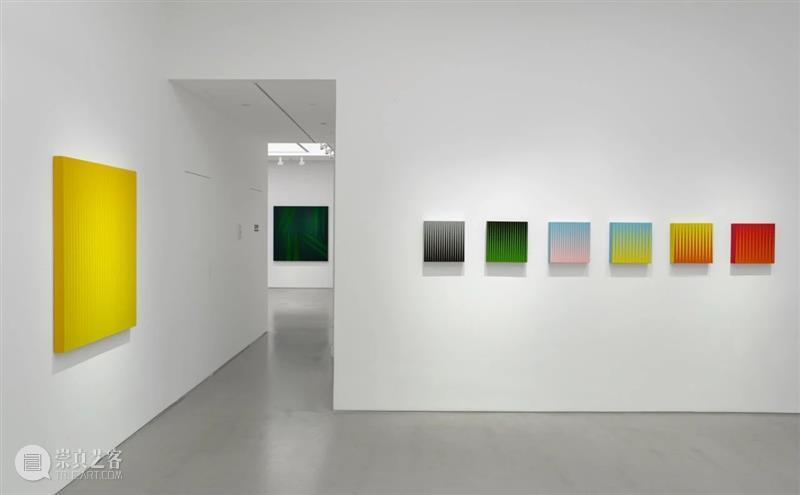 评论｜韩国著名评论家尹晋燮评雎安奇个展「草体 Grass Style」 崇真艺客