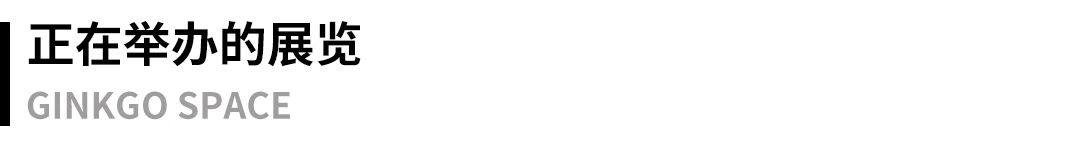 外展｜“观看的螺旋：关于王国锋图像库”正在温哥华 Canton sardine 展出 视频资讯 今格空间 崇真艺客