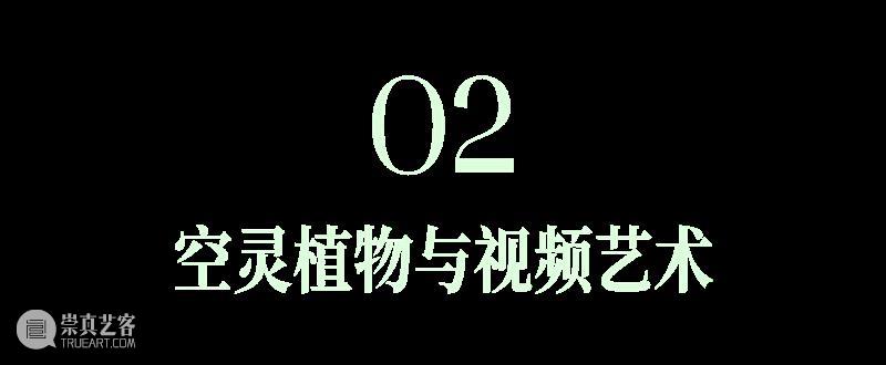 时代·专题|艺术家Luna Ikuta的透明植物幻境  北京时代美术馆 崇真艺客