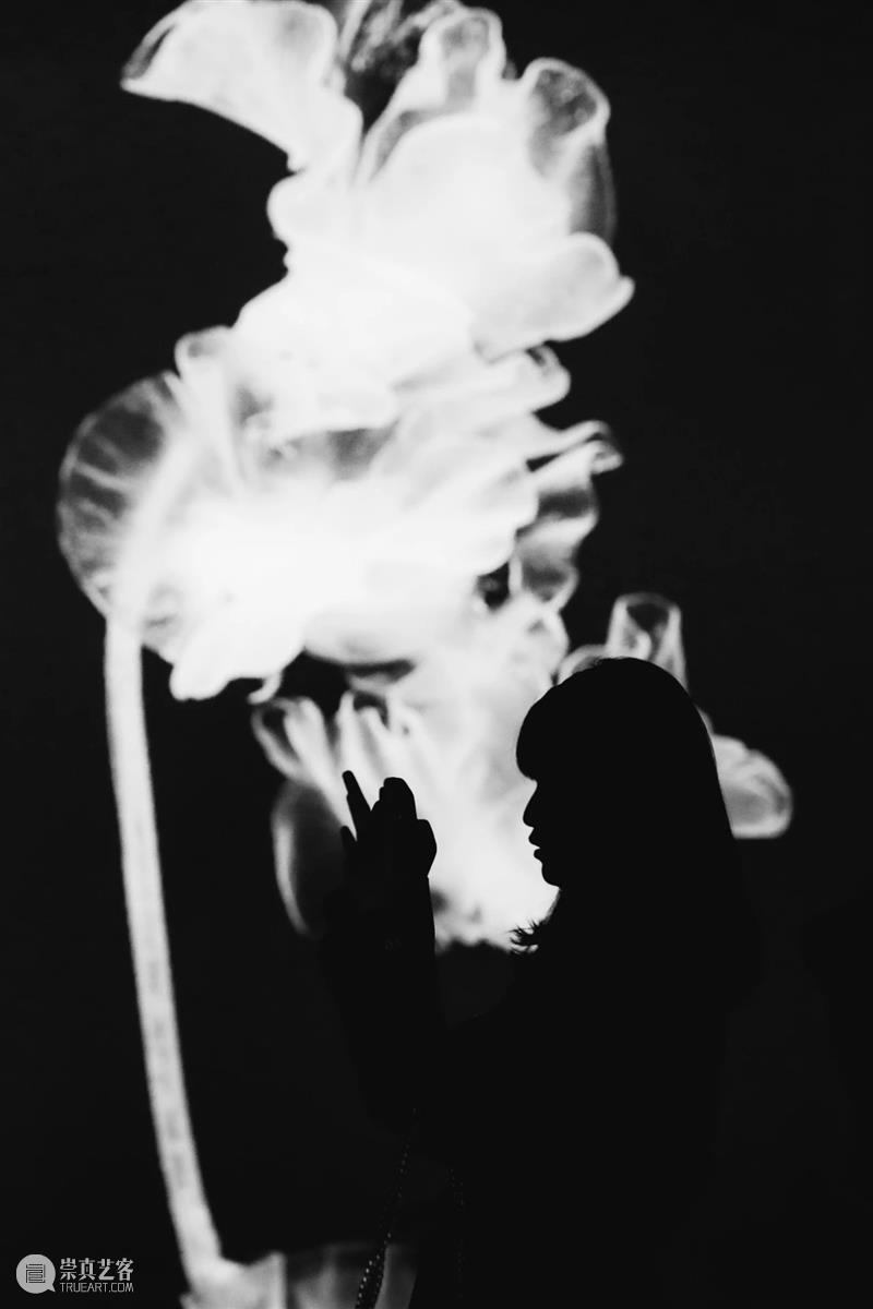 时代·专题|艺术家Luna Ikuta的透明植物幻境  北京时代美术馆 崇真艺客