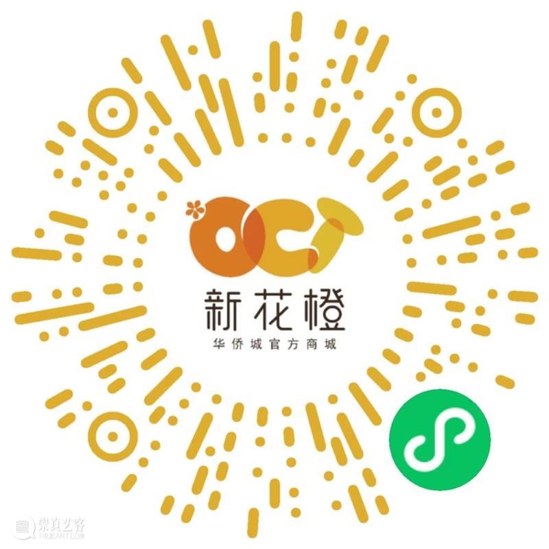 OCAT B10新馆 | 邓大非：西安笔记 崇真艺客