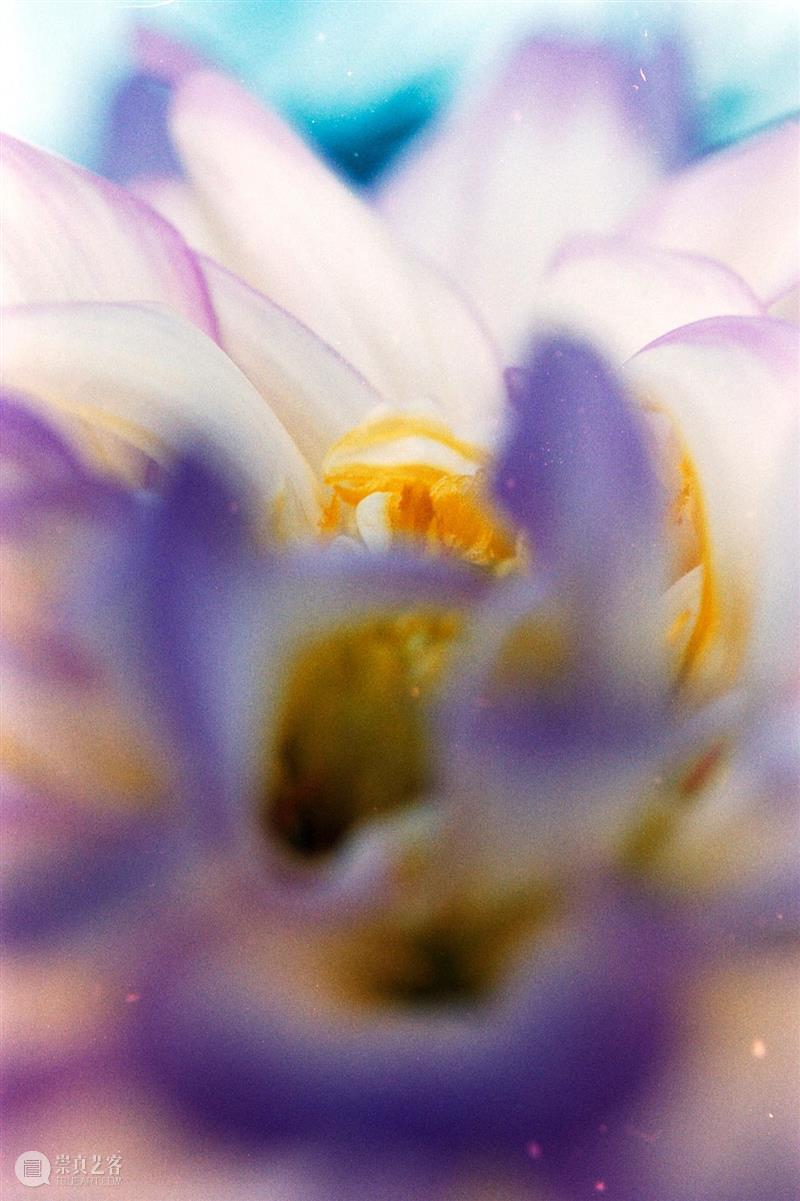 展位A14 | 工作室画廊参展PHOTOFAIRS影像上海艺术博览会 崇真艺客