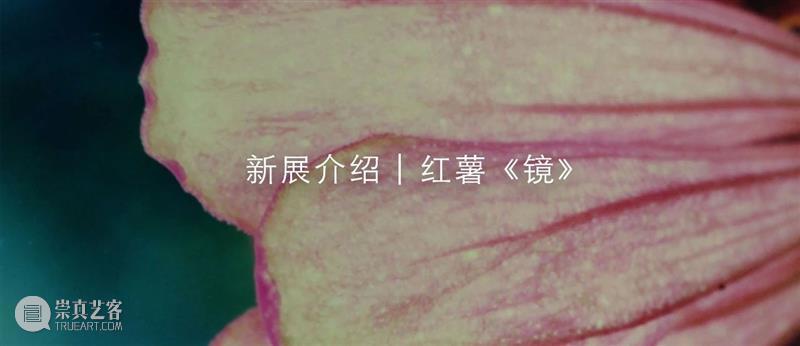 展位A14 | 工作室画廊参展PHOTOFAIRS影像上海艺术博览会 崇真艺客