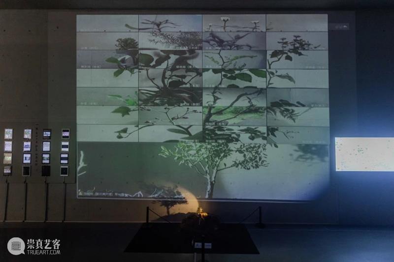 艺术家专题（十）| 2022武汉双年展“城市形态”专题——数·理  武汉美术馆 崇真艺客