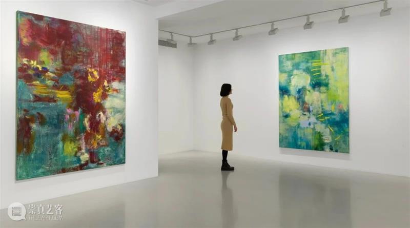 线上展厅｜梅根·鲁尼：飞行者与种子 崇真艺客