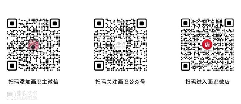 2023影像上海艺术博览会丨观看当代艺术中心——敖国兴作品 崇真艺客