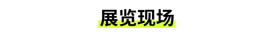 展览开幕｜张宇飞个展——“身份转印” 崇真艺客