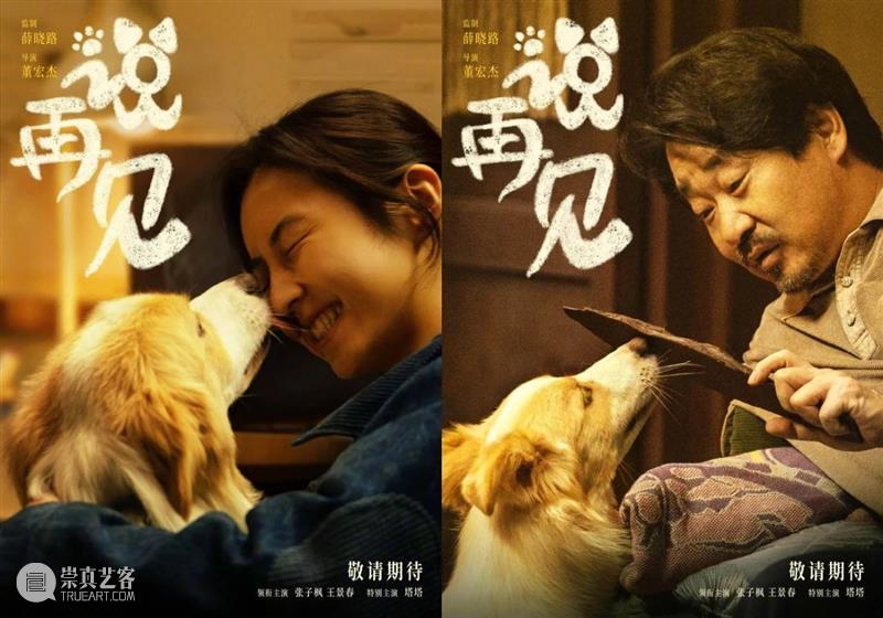 黄渤主演新片《学爸》定档;王宝强导演《八角笼中》定档 崇真艺客