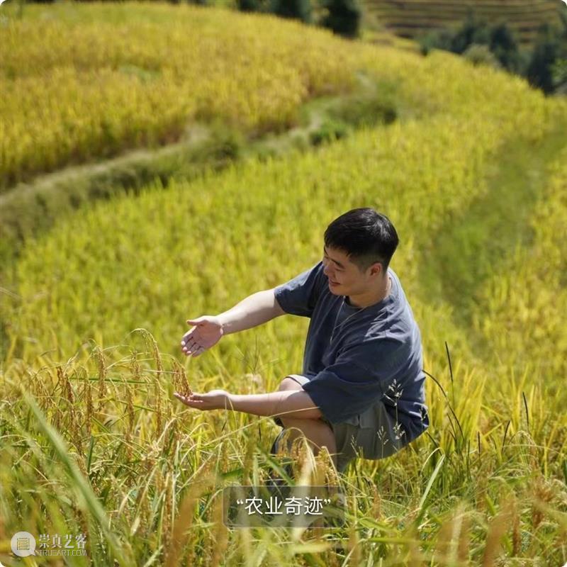 预告丨「设计江湖」丨七位校友分享：从象牙塔到社会 崇真艺客